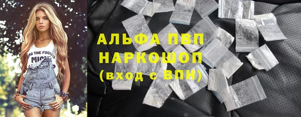 индика Абинск