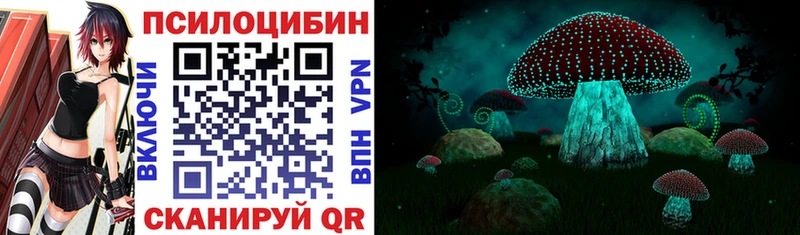 Псилоцибиновые грибы мухоморы  Ефремов 
